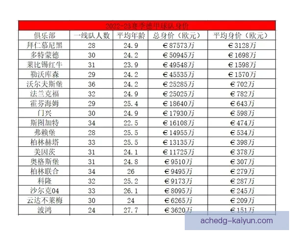 德甲引援目标曝光，夏季转会市场动态引发关注